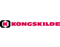 Kongskild
